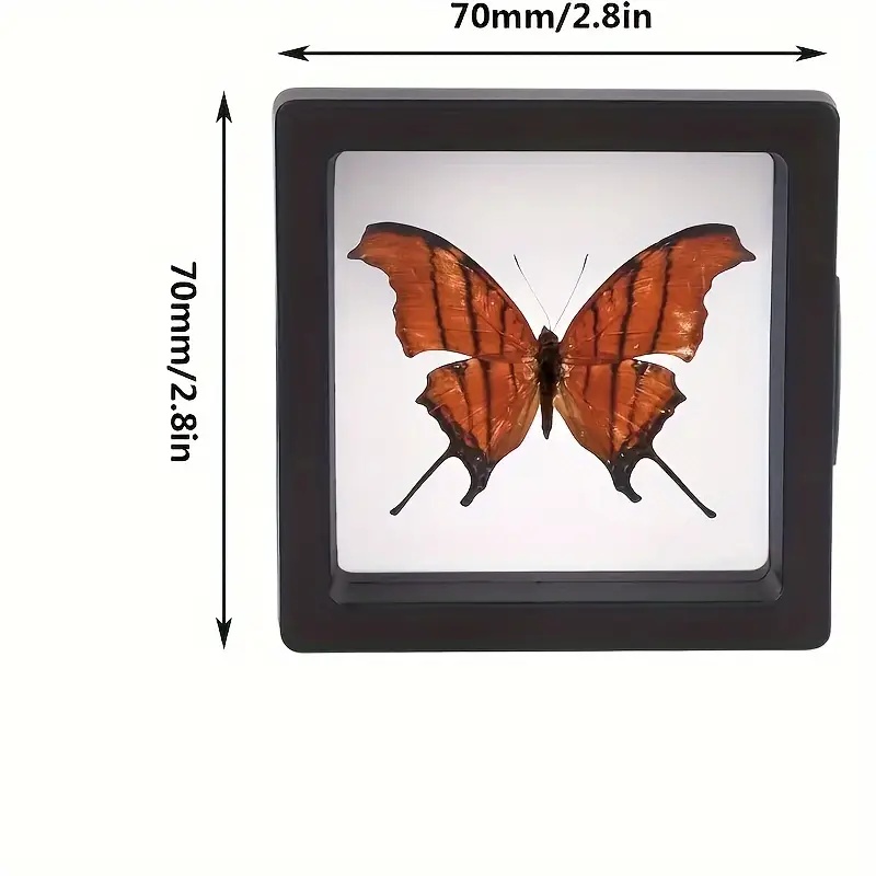 Vetrine galleggianti Clearview - Display Case Acrylic recensione e prezzo